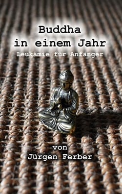 Buddha in einem Jahr - Leukämie für Anfänger
