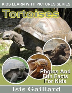 Tortoises Photos and Fun Facts for Kids - Kids Learn With Pictures, #109