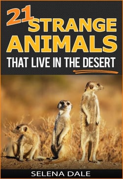 21 Strange Animals That Live In The Desert - Weird &amp; Wonderful Animals, #4