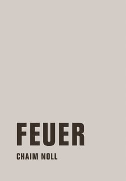 Feuer - Roman