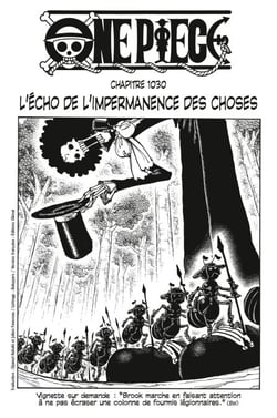 One Piece édition originale - Chapitre 1030 - L'écho de l'impermanence des choses