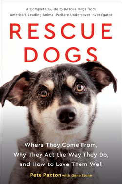 Rescue Dogs - Where They Come From, Why They Act the Way They Do, and How to Love Them Well