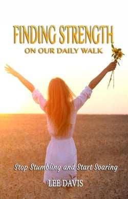 Finding Strength on Our Daily Walk: Stop Stumbling and Start Soaring - Finding Strength, #1