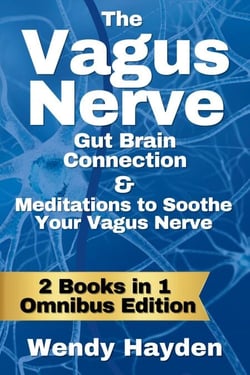 The Vagus Nerve Gut Brain Connection &amp; Meditations to Soothe Your Vagus Nerve - The Vagus Nerve