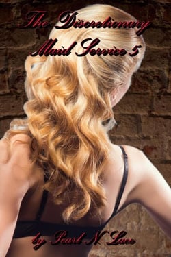 The Discretionary Maid Service 5 - Sissy stories, #50