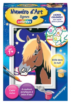 Numéro d'art - mini - Cheval de nuit