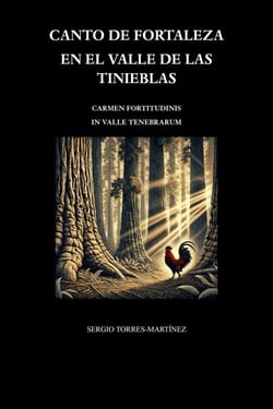 Canto de fortaleza en el valle de las tinieblas : Carmen fortitudinis in valle tenebrarum - Poetry 1