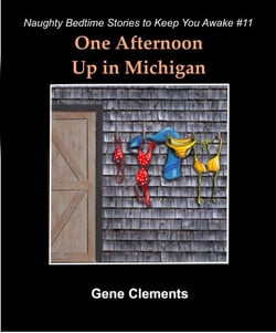 One Afternoon Up in Michigan - Naughty Bedtime Stories to Keep You Awake, #11