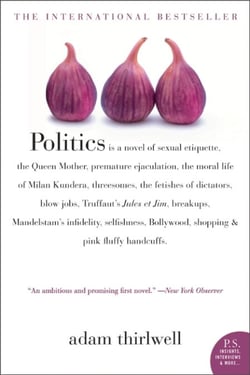 Politics - A Novel