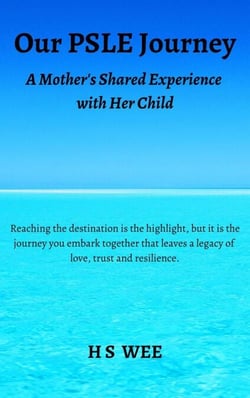 Our PSLE Journey - A Mother's Shared Experience with Her Child