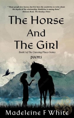 The Horse And The Girl - The Crossing Places Series, #1