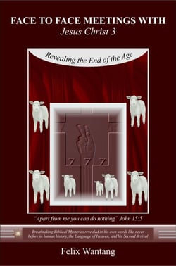 Face to Face Meetings With Jesus Christ 3: Revealing the End of the Age - Face to Face Meetings With Jesus Christ, #3
