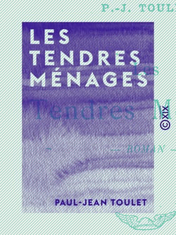 Les Tendres Ménages - Roman