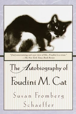 The Autobiography of Foudini M. Cat - A Novel