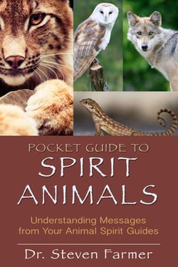 Pocket Guide to Spirit Animals - Understanding Messages from Your Animal Spirit Guides