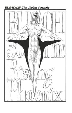 Bleach - T34 - Chapitre 305 - The Rising Phoenix