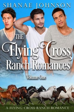 The Flying Cross Ranch Romances Volume One - a Flying Cross Ranch Romance