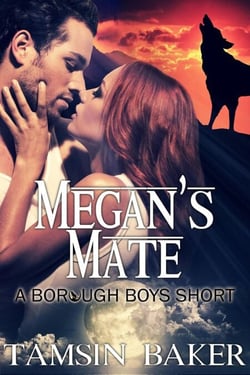 Megan's Mate - The Borough Boys, #4