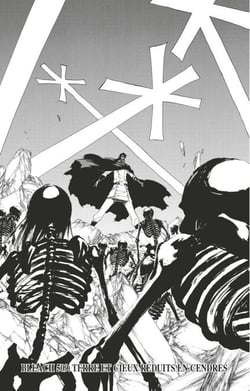 Bleach - T57 - Chapitre 509 - TERRE ET CIEUX REDUITS EN CENDRES