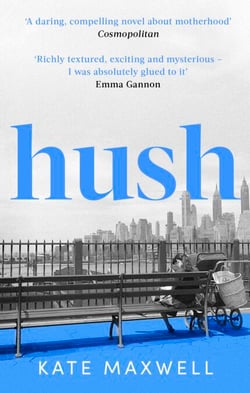 Hush - The heartbreaking and life-affirming debut novel which tells the truth about motherhood