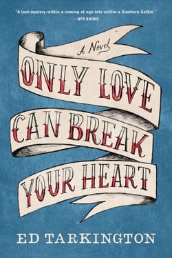 Only Love Can Break Your Heart - A Novel