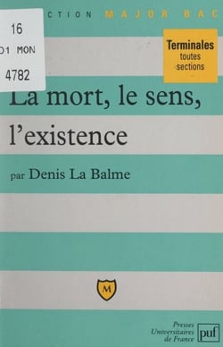 La mort, le sens, l'existence - Thèmes et sujets