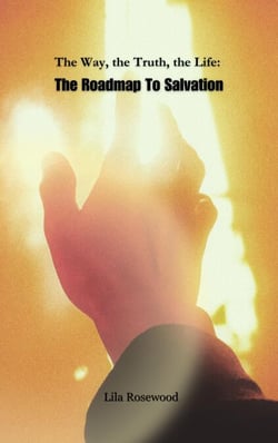 The Way, the Truth, the Life: The Roadmap To Salvation - Faith Warriors Chronicles, #1