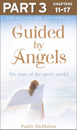 Guided By Angels: Part 3 of 3 - There Are No Goodbyes, My Tour of the Spirit World