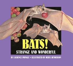 Bats! - Strange and Wonderful