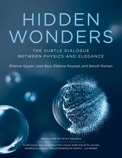 Hidden Wonders - The Subtle Dialogue Between Physics and Elegance