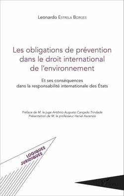 Les obligations de prévention dans le droit international de l'environnement - Et ses conséquences dans la responsabilité internationale des États