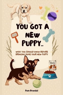 You got a new puppy - What To Expect, #5