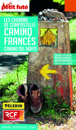 CHEMINS COMPOSTELLE - CAMINO FRANCES 2016 Petit Futé