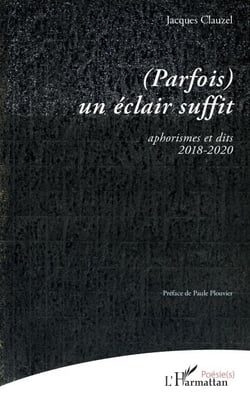 (Parfois) un éclair suffit - aphorismes et dits 2018-2020
