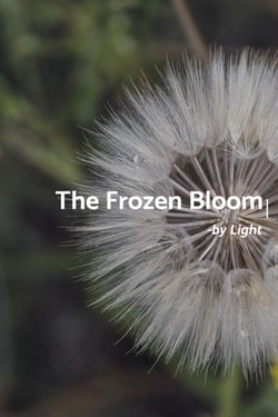 The Frozen Bloom - Tale of two friends, #1