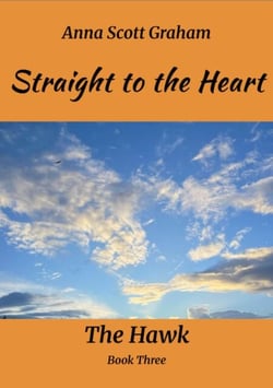Straight to the Heart: The Hawk Book Three - The Hawk, #3
