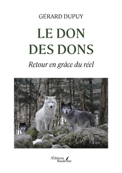 Le don des dons - Retour en grâce du réel