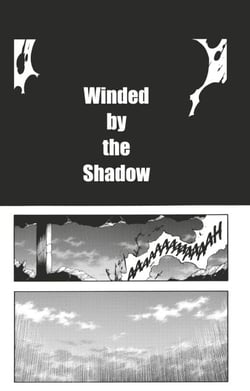 Bleach - T66 - Chapitre 597 - WINDED BY THE SHADOW