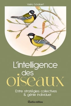L'intelligence des oiseaux - Entre stratégies collectives &amp; génie individuel
