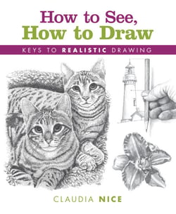 How to See, How to Draw - Keys to Realistic Drawing