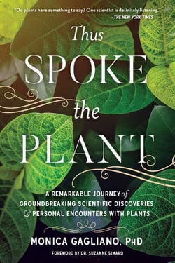 Thus Spoke the Plant - A Remarkable Journey of Groundbreaking Scientific Discoveries and Personal  Encounters with Plants