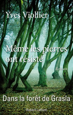 Même les pierres ont résisté - Dans la fôret de Grasla