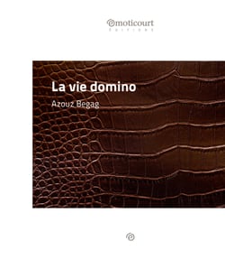 La vie domino - Une nouvelle dans les bidonvilles lyonnais