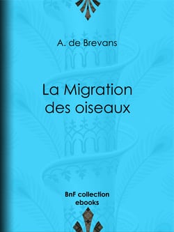 La Migration des oiseaux