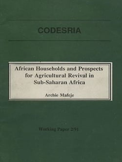 African households and prospects for agricultural revival in Sub-Saharan Africa - Working Paper 2/91