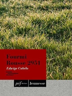 Fourmi Rousse 2951