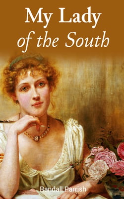 My Lady of the South - Civil War Novel