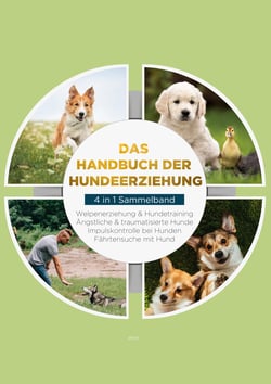 Das Handbuch der Hundeerziehung - 4 in 1 Sammelband - Impulskontrolle bei Hunden | Welpenerziehung &amp; Hundetraining | Ängstliche &amp; traumatisierte Hunde | Fährtensuche mit Hund