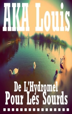 De L'Hydromel pour les Sourds - Traité inabouti, dilettante et poétique sur le sens de la réalité