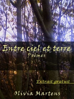 Poème - Extrait gratuit - Entre ciel et terre